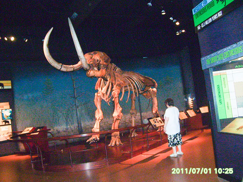 HarrisburgMuseams_53