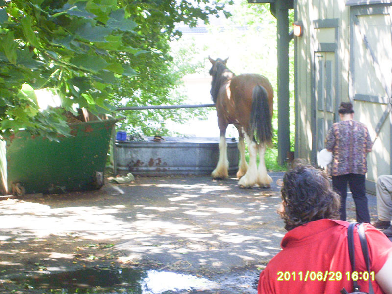 HarrisburgMuseams_45