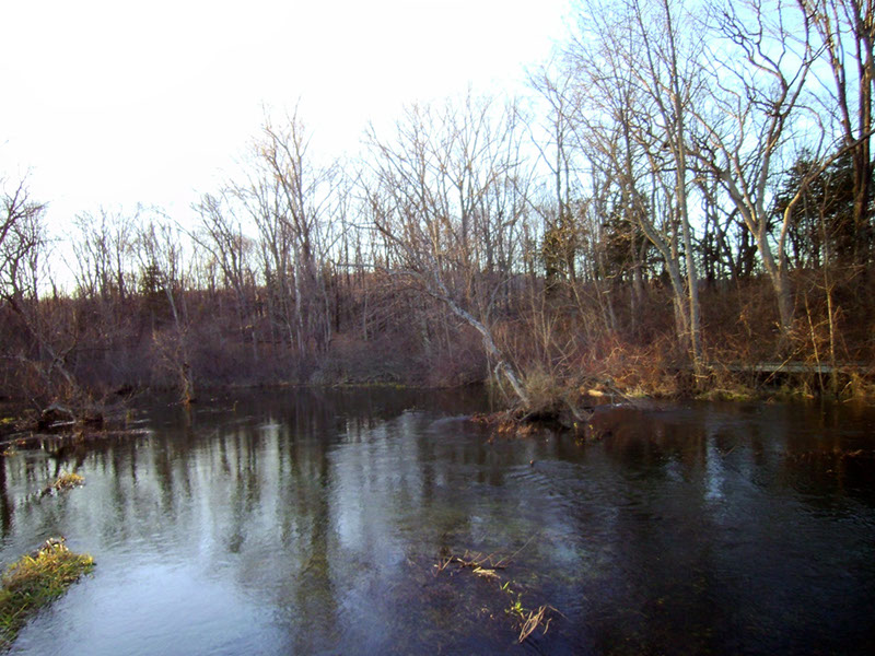 AppalacianTrail89 (1)