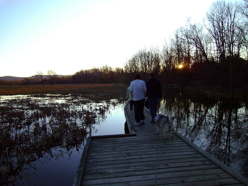 AppalacianTrail99 (1)