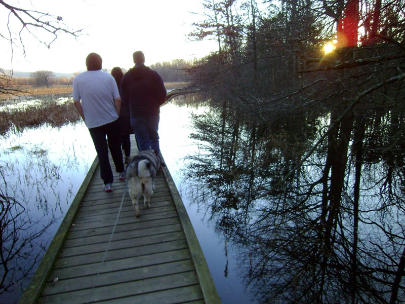 AppalacianTrail95 (1)