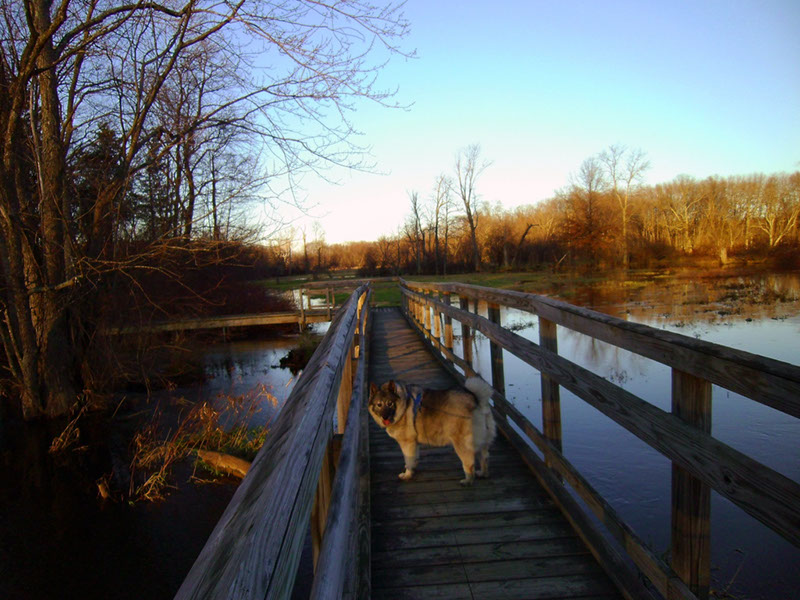 AppalacianTrail91 (1)