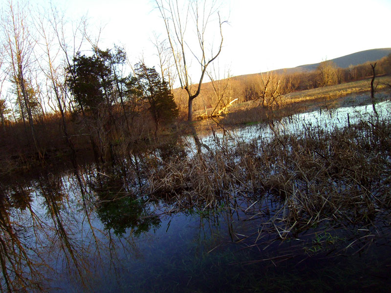 AppalacianTrail97 (1)