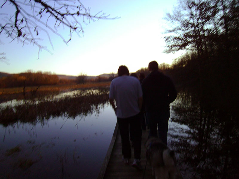 AppalacianTrail96 (1)