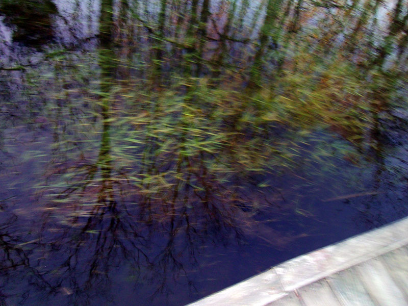 AppalacianTrail06 (1)