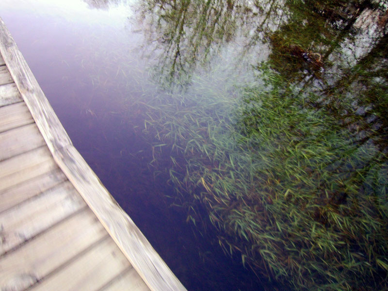 AppalacianTrail00 (1)