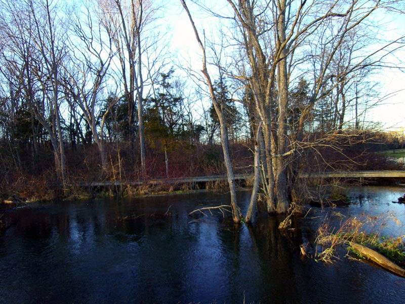 AppalacianTrail90 (1)