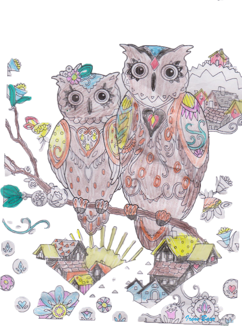 Owls