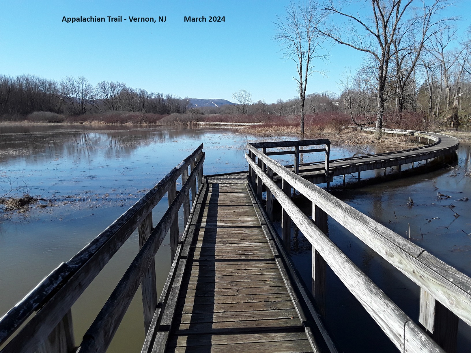 Happy St. Patricks Day