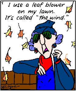 I use a leaf blower on my lawn. It's called 'the wind.'