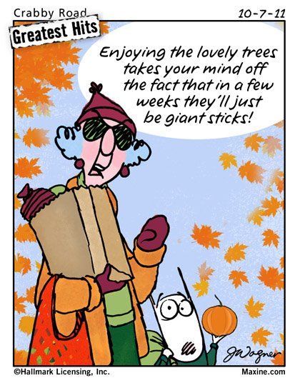 Enjoying the lovely trees takes your mind off the fact that in a few weeks they'll just be giant sticks!