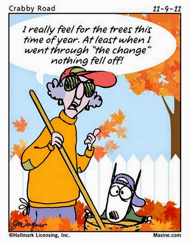 I really feel for the trees this time of year. At least when I went through 'the change' nothibng fell off!.