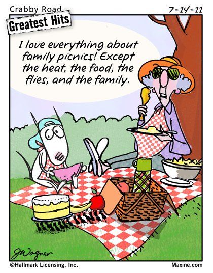 I love everything about family picnics! Except the heat, the food, the flies, and the family.