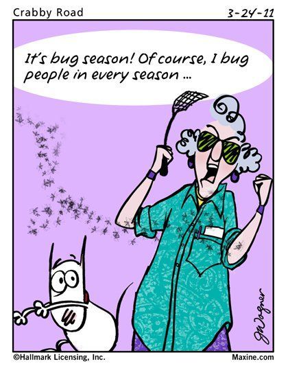 It's bug season! Of course, I bug people in every season...