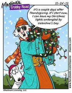 xmas lights untangled by valentines day