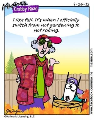Maxine - Not raking.