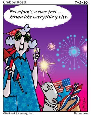 Freedom's never free... kinda like everything else.